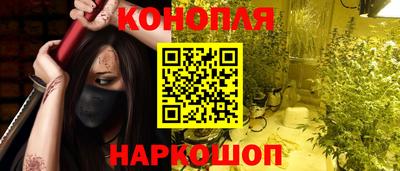 стафф Дубна