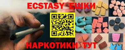 стафф Дубна