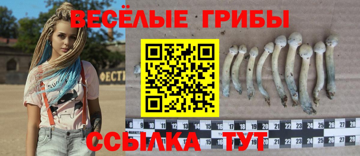 Королёв  Галлюциногенные грибы ЛСД  Вход с VPN 